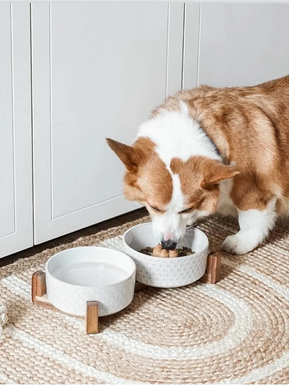 🐶🥣  LE TAUCI Ceramic Elevated Dog Bowl Set with Acacia Wood Stand